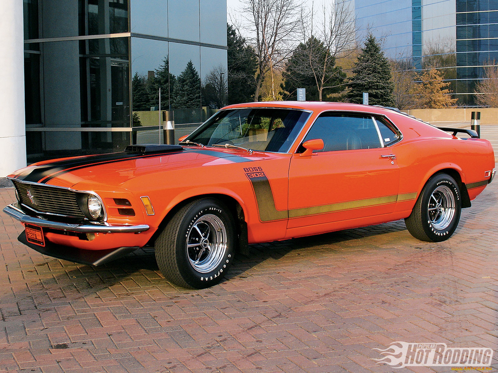 , mustang